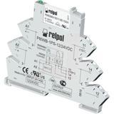 PIR6W-1PS-24VDC-R01