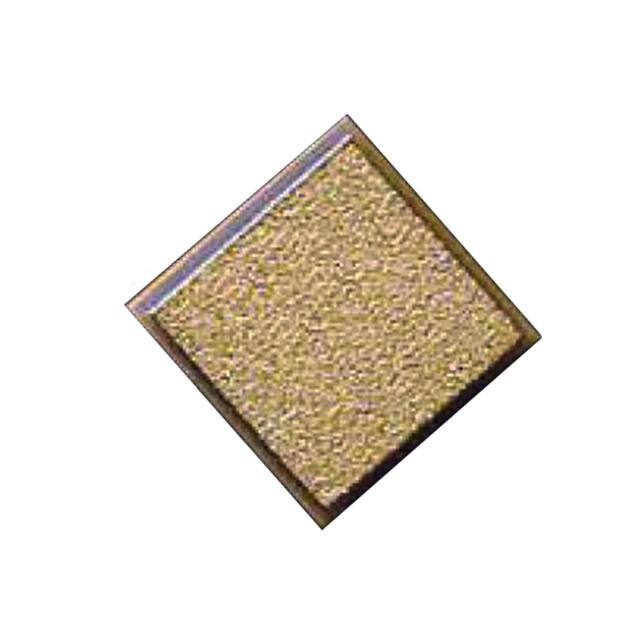 116RK101M100TT 