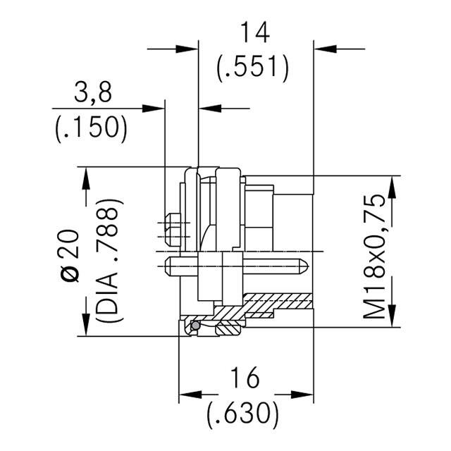 C091 31T005 100 2 
