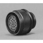 MS24266R12T12PN 