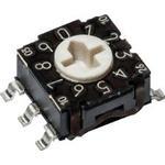 RTE1000G34