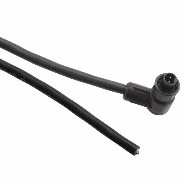 CARA162802P07990 