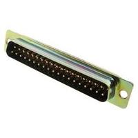 DCMY13W6PK87