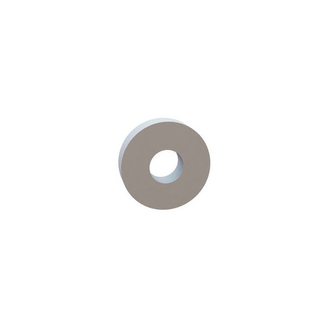 13RS100555 