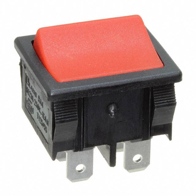 RA41G31900 