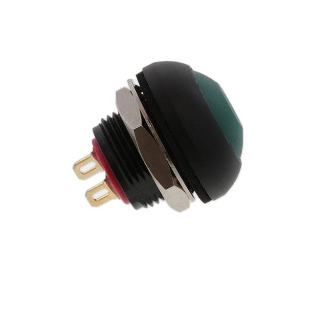 RP8100B2M1CEBLKGRNNIL 