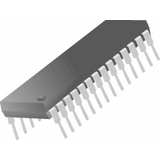 DS1743W-120