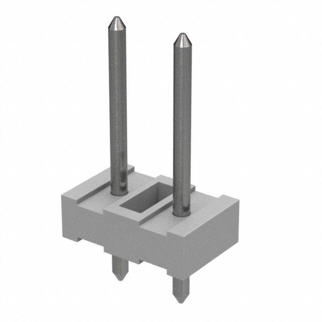 0010081021 0010081021