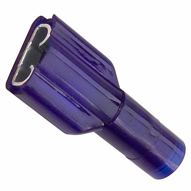 0190020024 