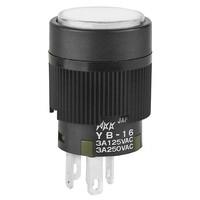 YB16CKW01-2CF12-JB