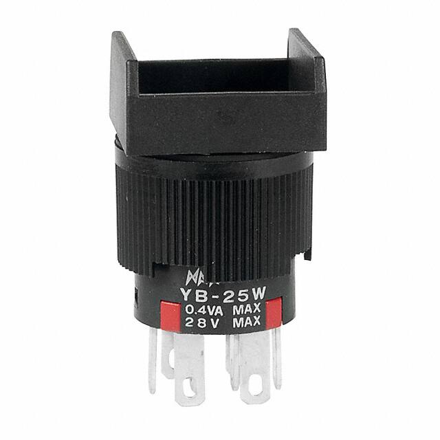 YB25WSKG01 