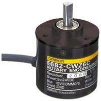 E6CP-AG5C 256 2M