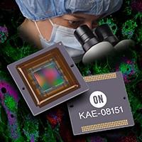 KAE-02150-FBB-JP-FA
