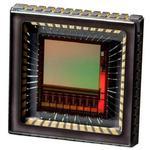 NOIP1SE1300A-QDI