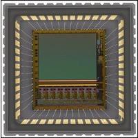 NOIP1SE1300A-QTI