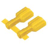 DNF10250FIBC-2K 