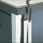 FMS100X6