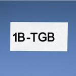 T050X000YP1