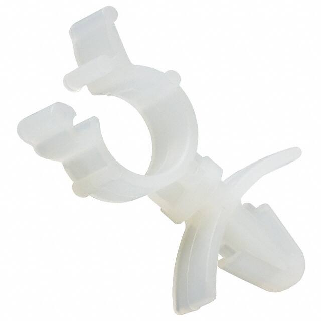 WS25-25-C 
