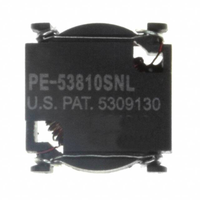 PE-53810SNL 