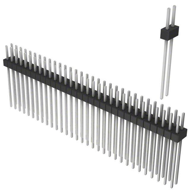 PEC31DAGN 