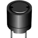 RCR1010NP-220M 