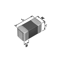 NTCG064LH104JTB