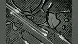 123339-000 
