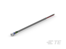 AV1920DA24T5Q04 