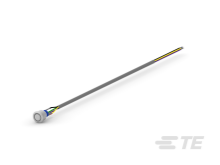 AV2210EG24T5Q04 
