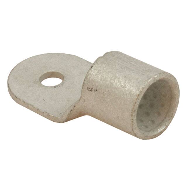 323868 