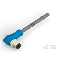 T4161220005-005