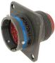AFD58-24-31PX-6117 AFD58-24-31PX-6117