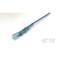 F10693-000