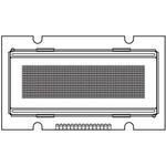 OLED-076H016A-GPP5N00000