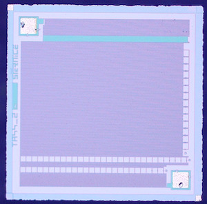 CS44-100MF CS44-100MF