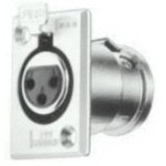 XLR-4-31