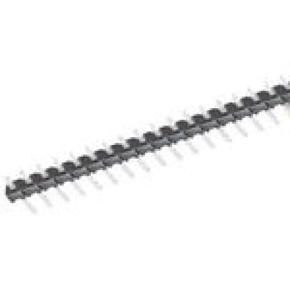 MTLW-101-08-T-S-245